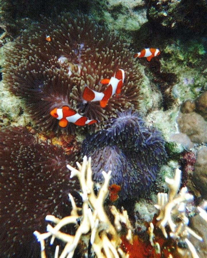 Deepsky Villa Karimunjawa Dış mekan fotoğraf
