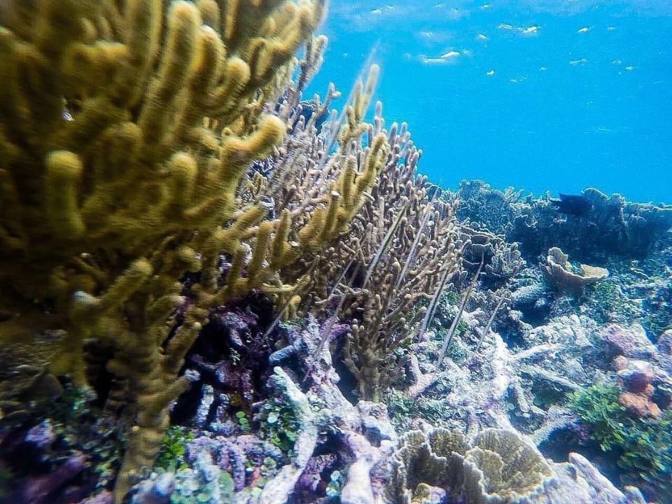 Deepsky Villa Karimunjawa Dış mekan fotoğraf